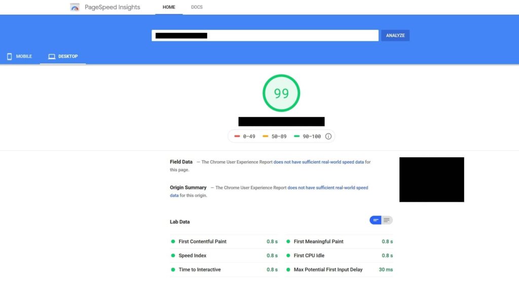 Google Page Speed 99